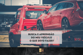 BUSCA-E-APREENSAO-ARTIGO